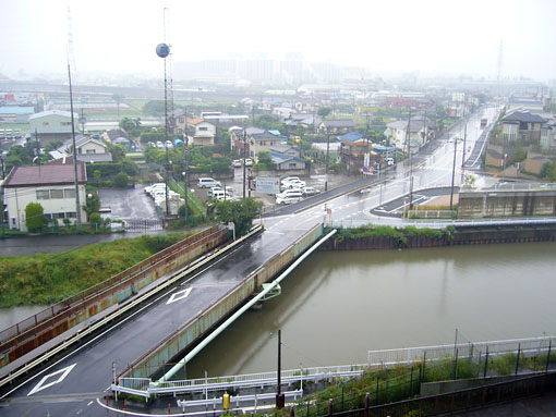 今日も雨